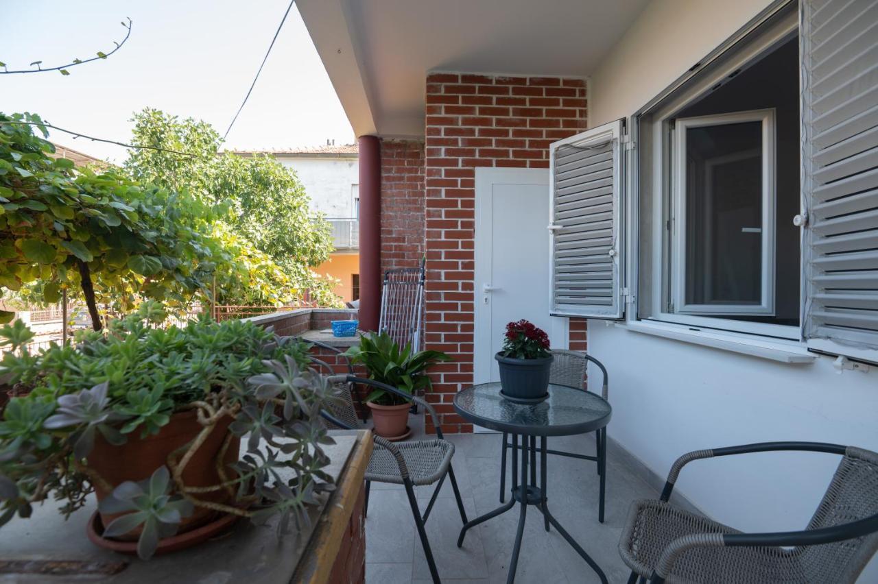Modern Apartment Edda - Quiet Area - Close To Old Town And Beaches Zadar Dış mekan fotoğraf
